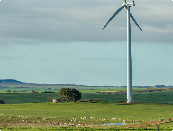 The project at Warperup Creek Wind